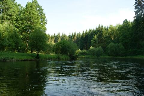 Vltava 2013, fotky z akce – fotka 72