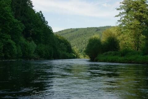Vltava 2013, fotky z akce (díl druhý) – fotka 127