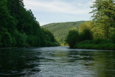 Vltava 2013, fotky z akce (díl druhý) – fotka 128