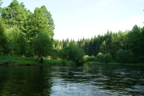 Vltava 2013, fotky z akce (díl druhý) – fotka 129