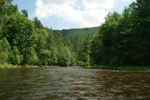 Vltava 2013, fotky z akce (díl druhý) – fotka 205