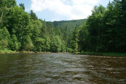Vltava 2013, fotky z akce (díl druhý) – fotka 206