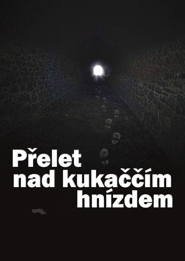 Plakát: Přelet nad kukaččím hnízdem